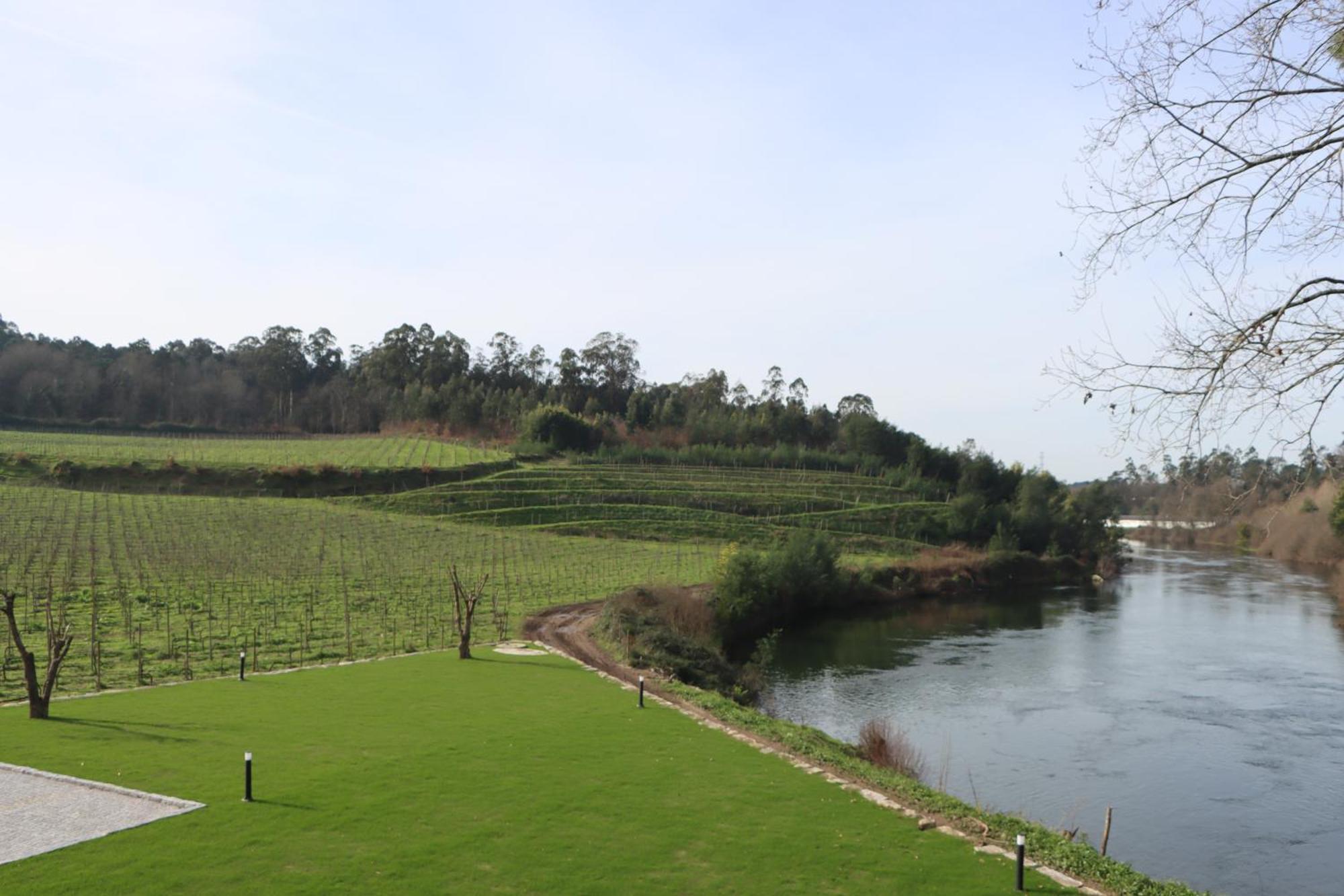 Quinta Das Areias - Solar Da Pena Villa Braga Dış mekan fotoğraf